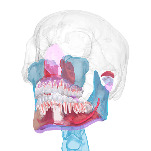 Segment Image